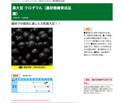 黒大豆 クロダマル（農研機構育成品種）の画像