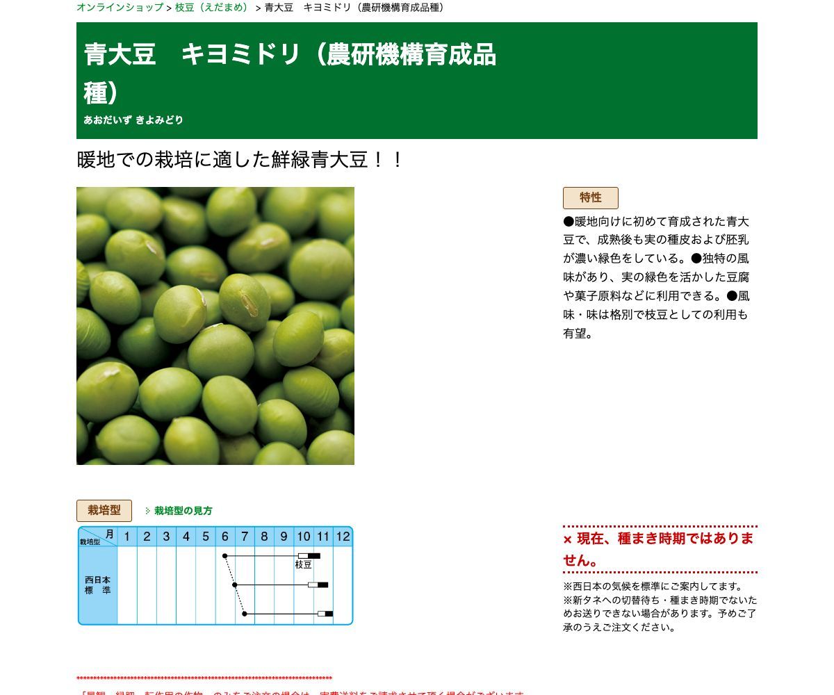青大豆 キヨミドリ（農研機構育成品種）