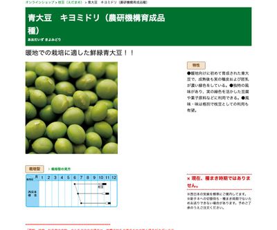青大豆 キヨミドリ（農研機構育成品種）の画像