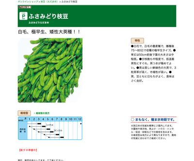 ふさみどり枝豆の画像