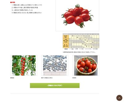 スーパーなつめっ娘の画像