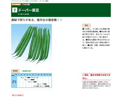 ドーバー菜豆の画像