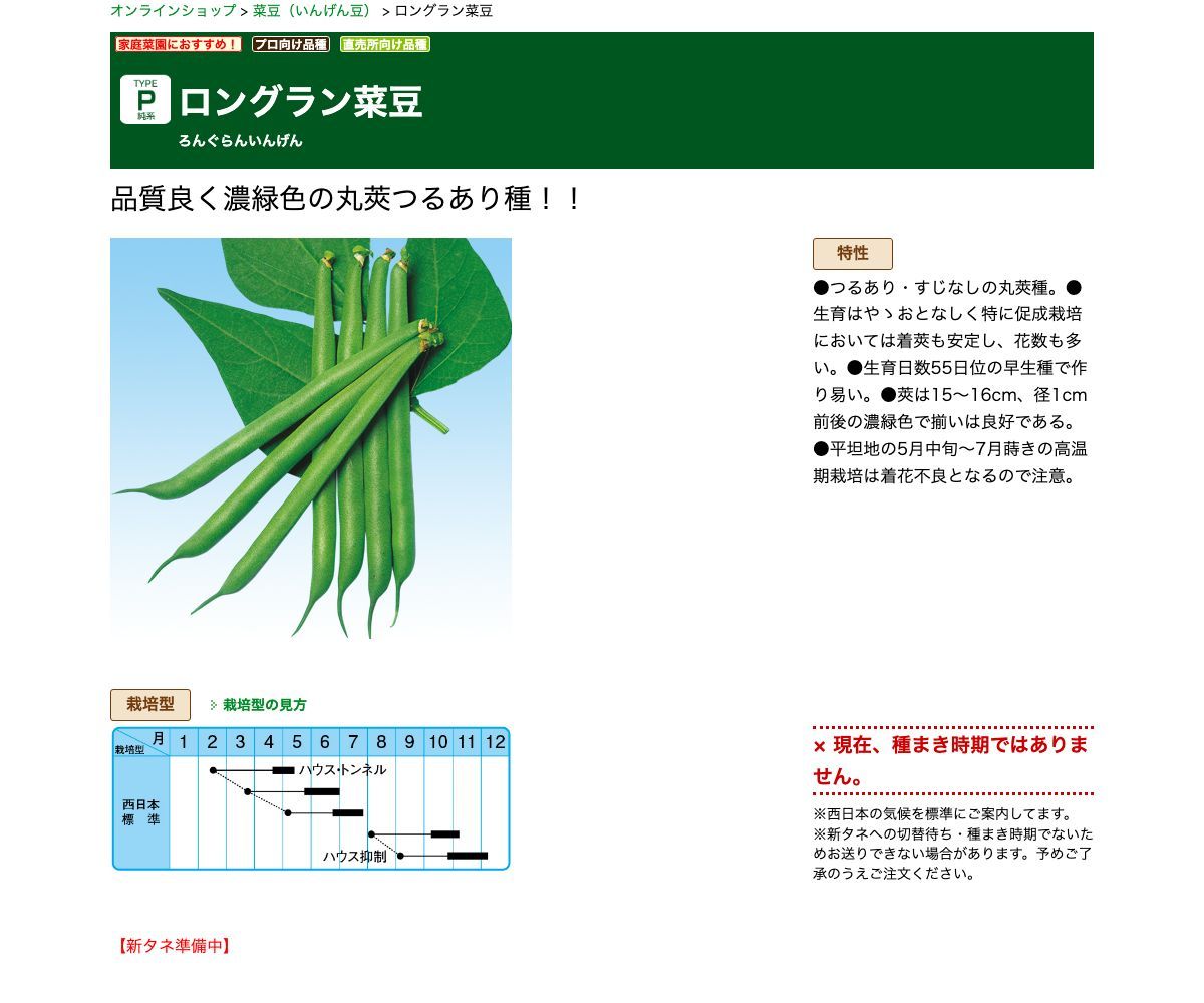 ロングラン菜豆