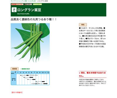 ロングラン菜豆の画像