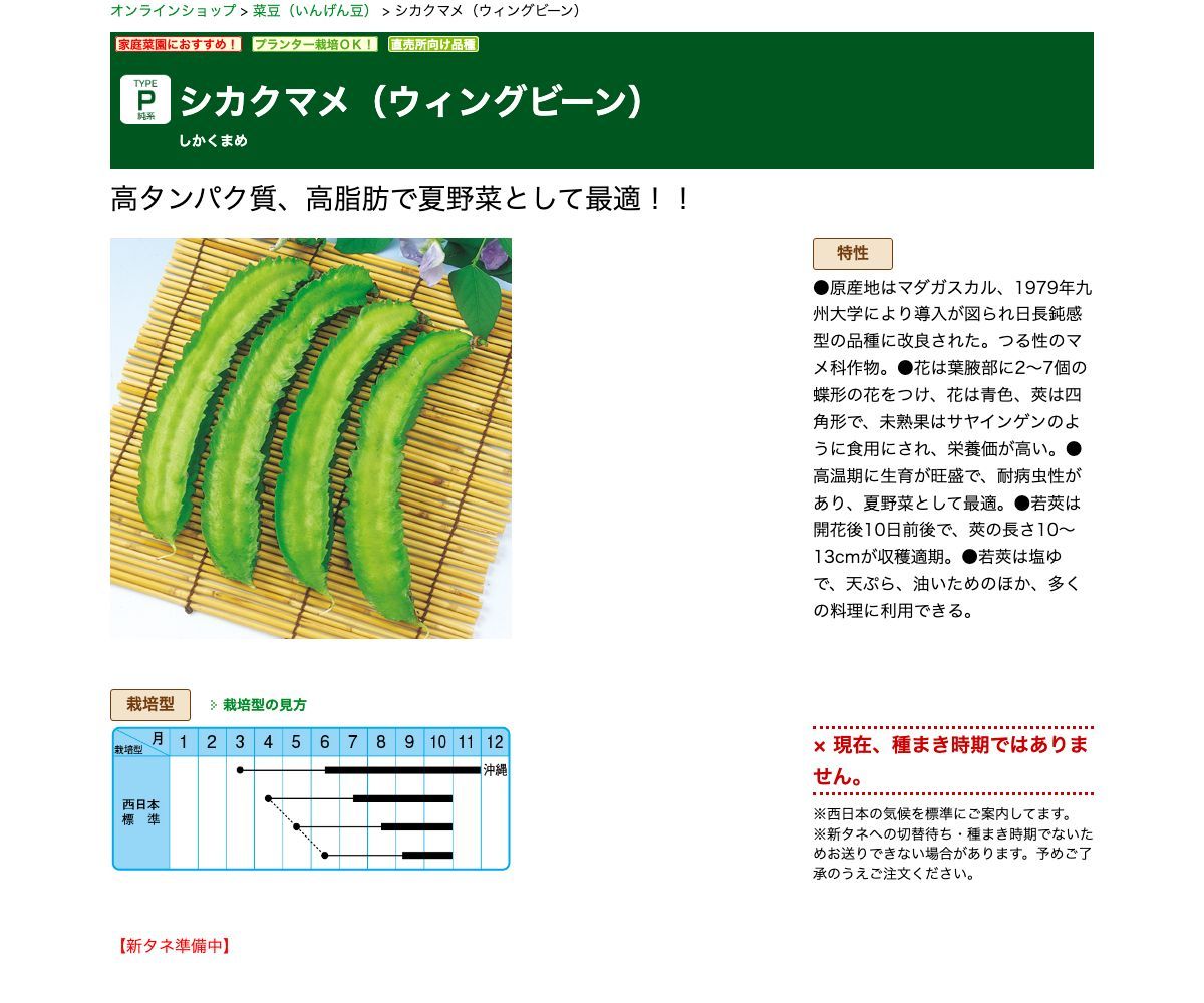 シカクマメ（ウィングビーン）