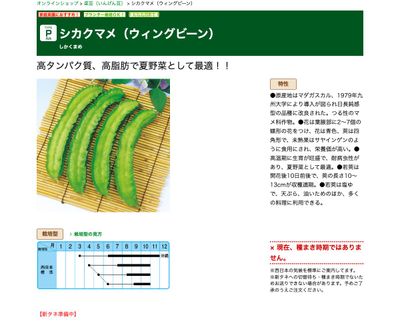 シカクマメ（ウィングビーン）の画像