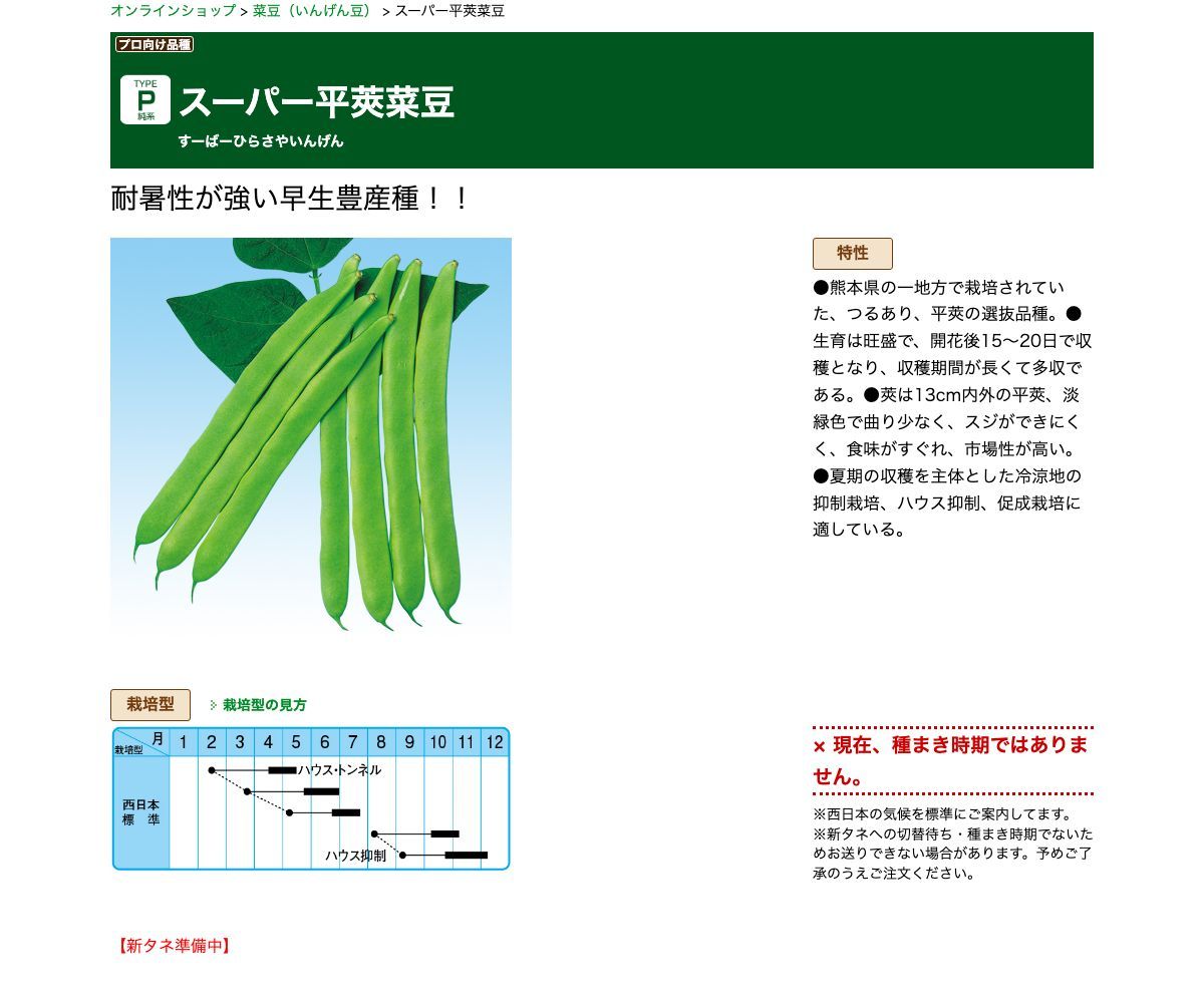 スーパー平莢菜豆