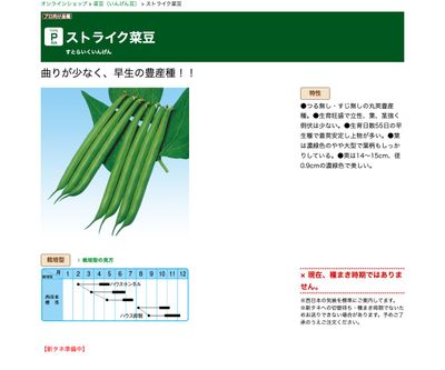 ストライク菜豆の画像