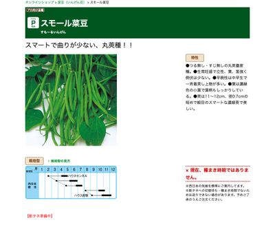 スモール菜豆の画像