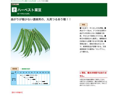 ハーベスト菜豆の画像