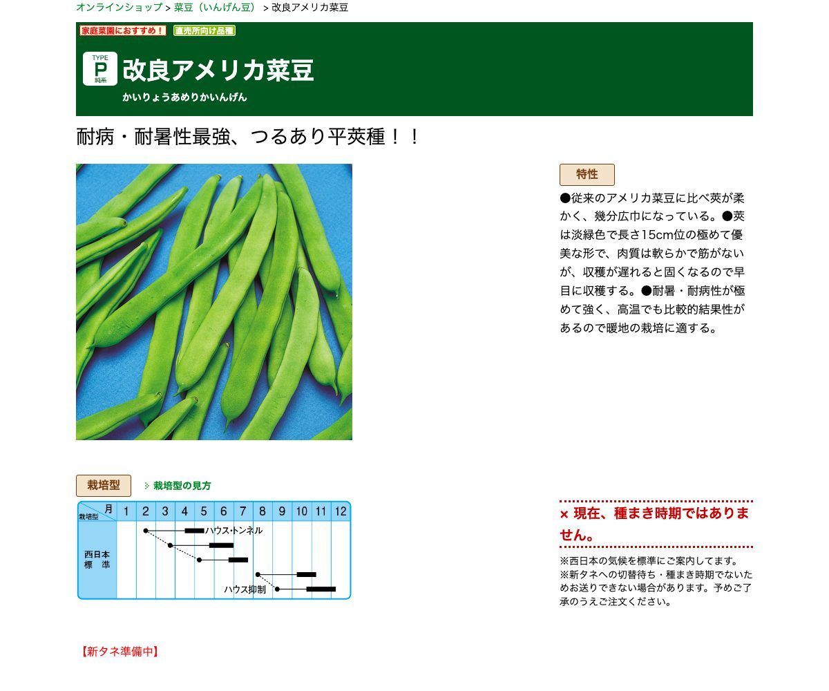 改良アメリカ菜豆