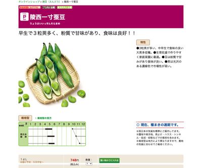 陵西一寸蚕豆の画像