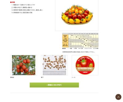 デコレーション シリーズ（ショコラ・ジョーヌ・オランジェ）の画像