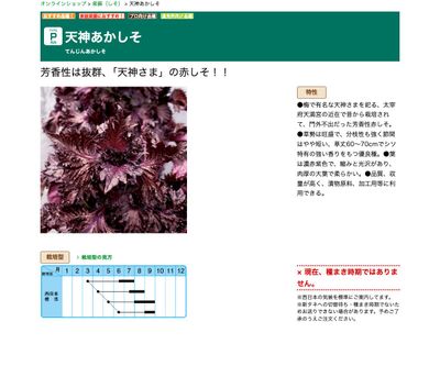 天神あかしその画像