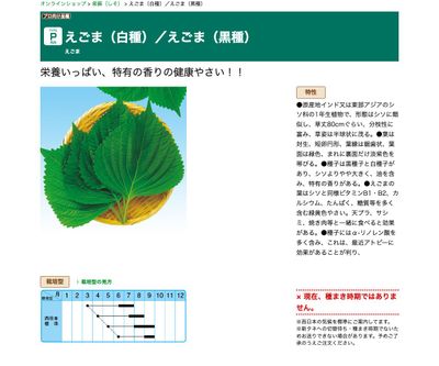 えごま（黒種）の画像