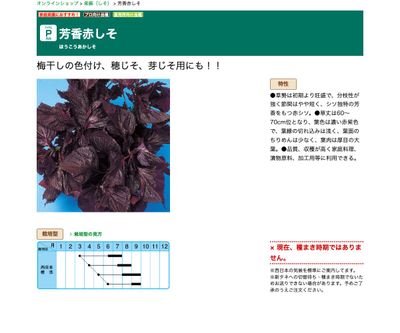 芳香赤しその画像