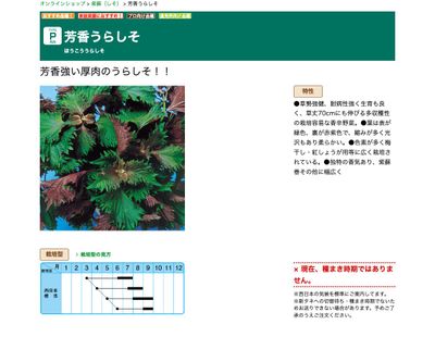 芳香うらしその画像