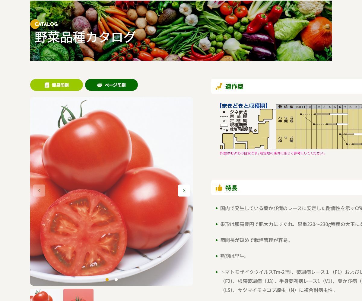CF桃太郎ヨーク
