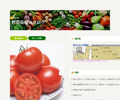 CF桃太郎ヨークの画像