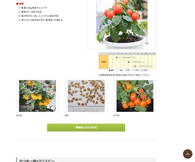 ぷちっ娘 シリーズ（レッド・イエロー・オレンジ）の画像