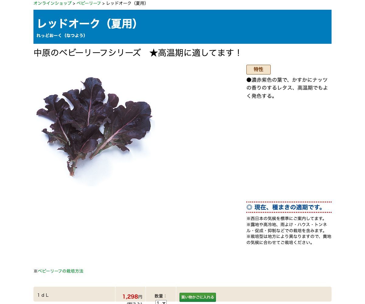 レッドオーク（夏用）