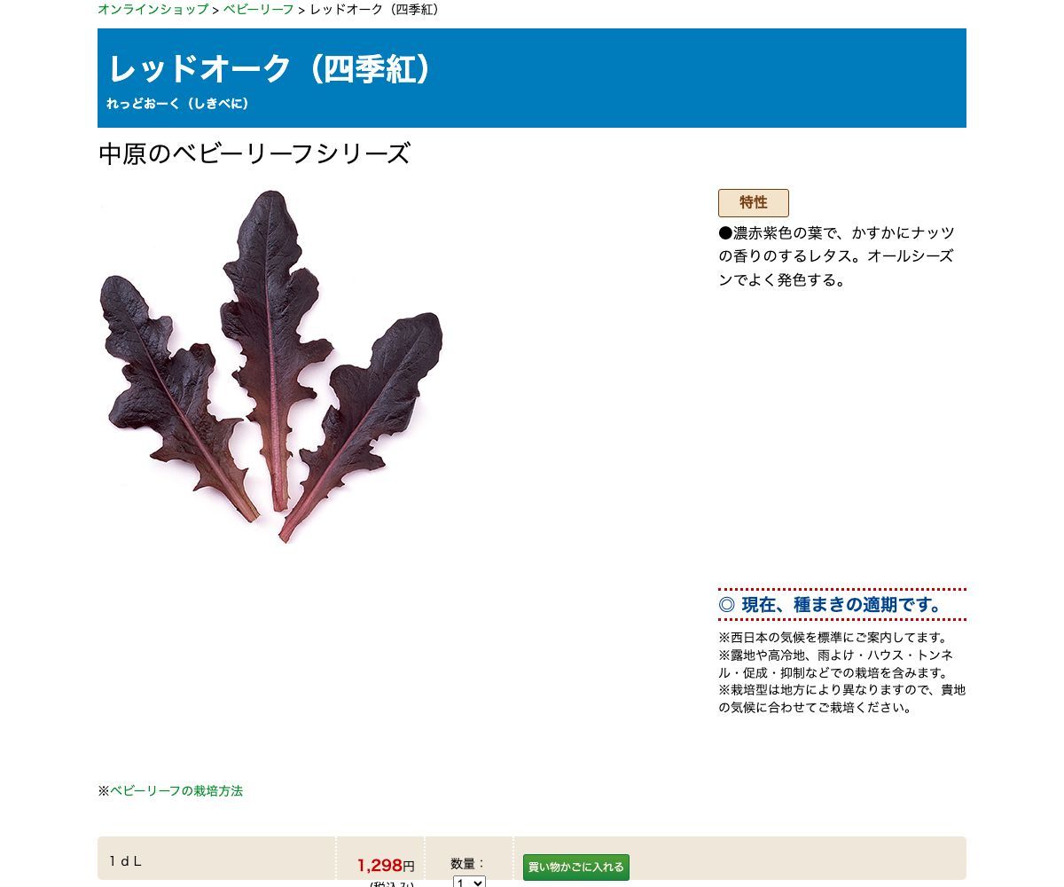 レッドオーク（四季紅）