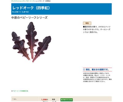 レッドオーク（四季紅）の画像