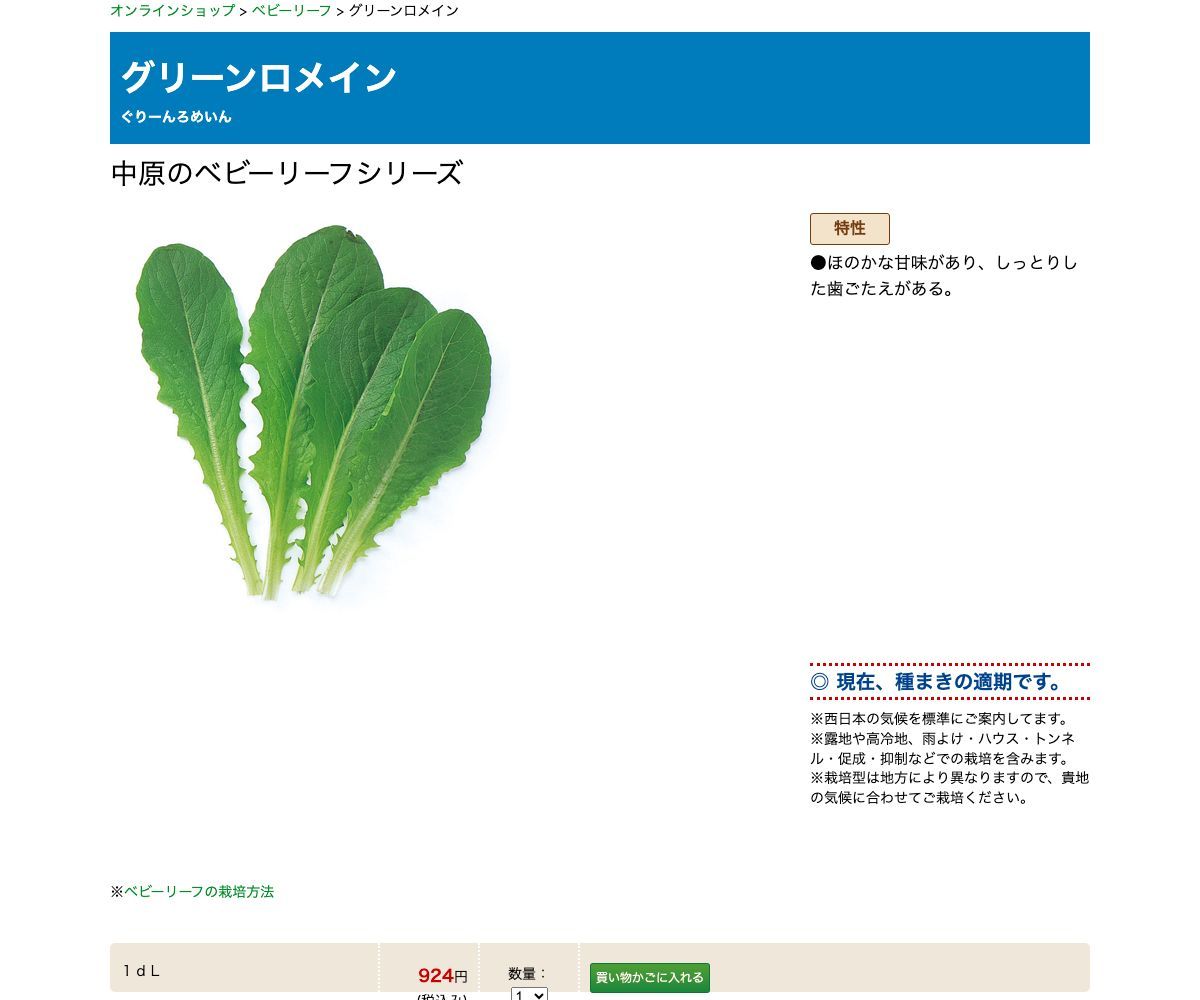 グリーンロメイン