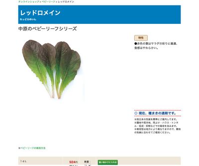 レッドロメインの画像