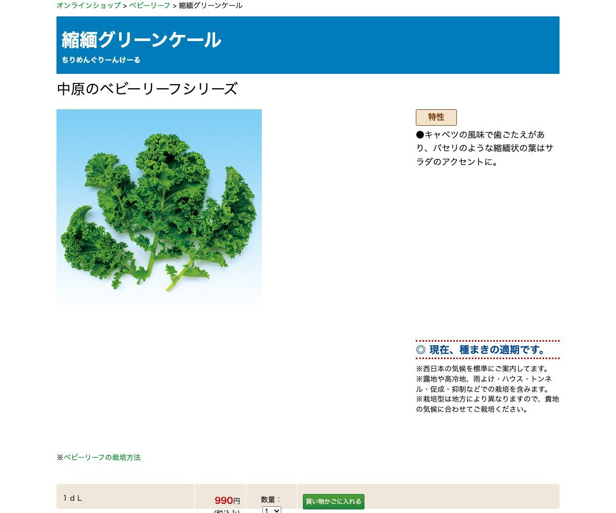 縮緬グリーンケール