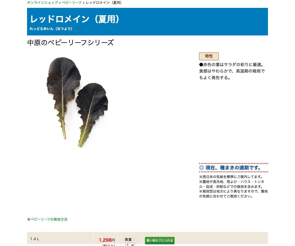 レッドロメイン（夏用）