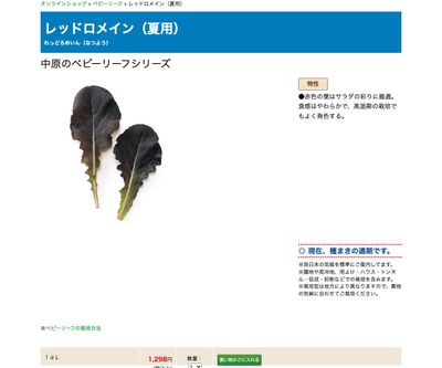 レッドロメイン（夏用）の画像