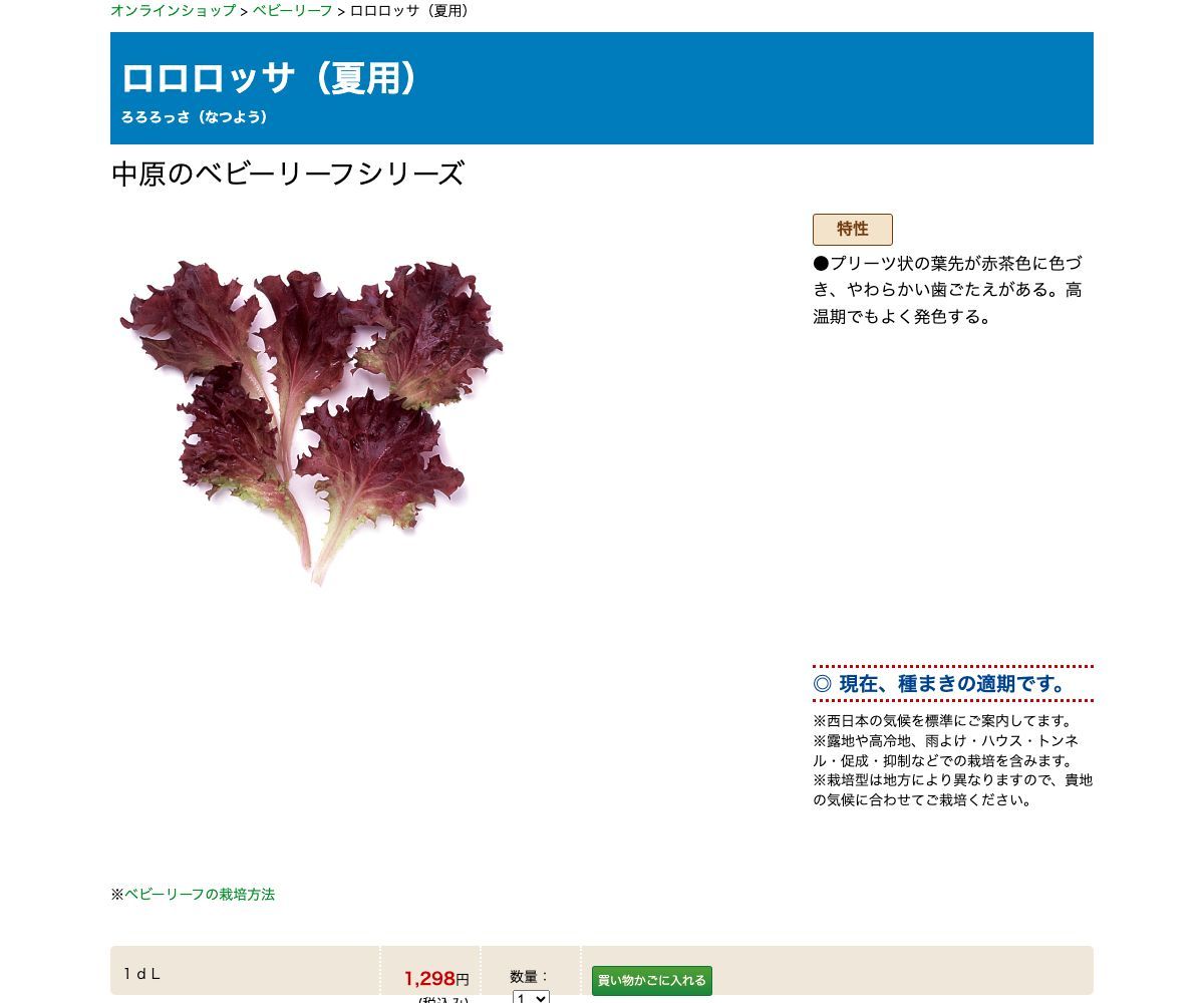 ロロロッサ（夏用）