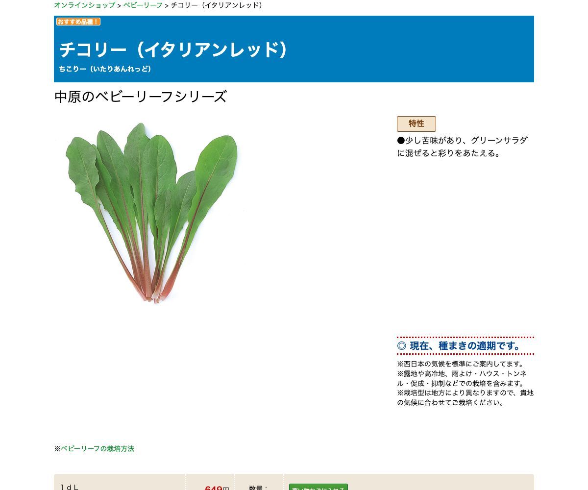 チコリー（イタリアンレッド）