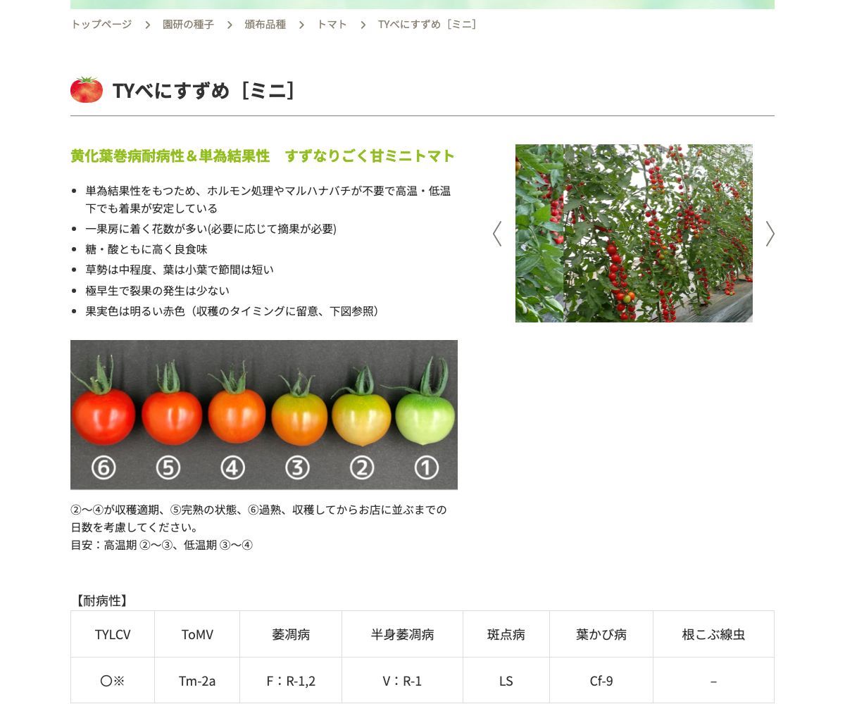 TYべにすずめ