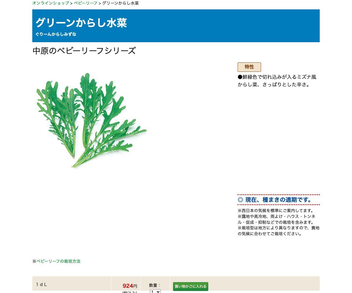 グリーンからし水菜