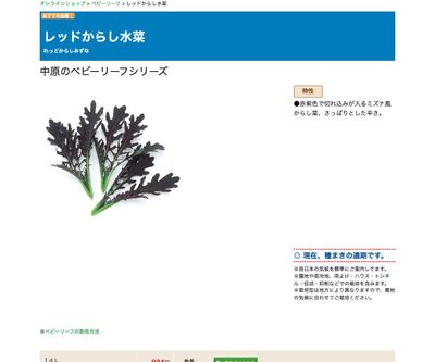 レッドからし水菜の画像