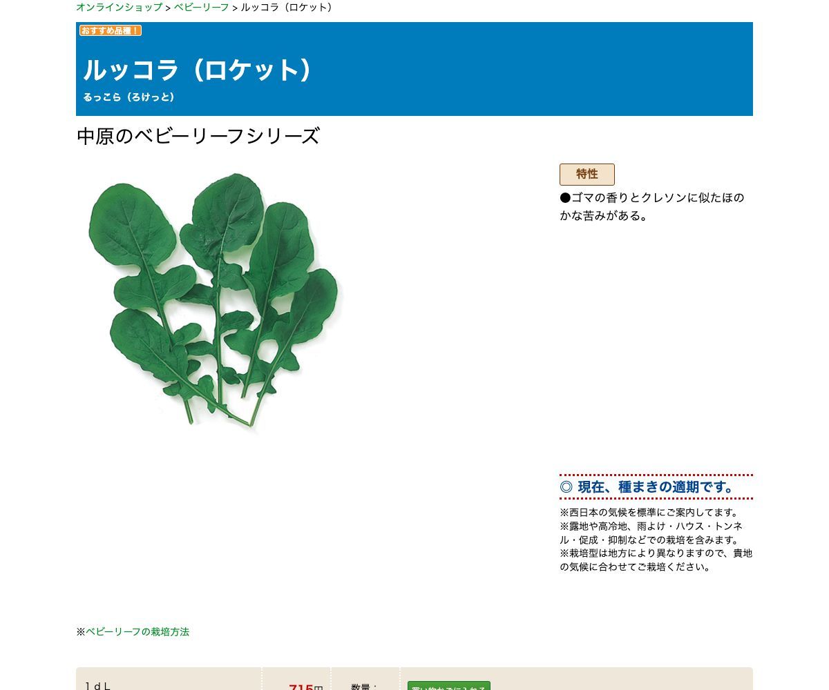 ルッコラ（ロケット）