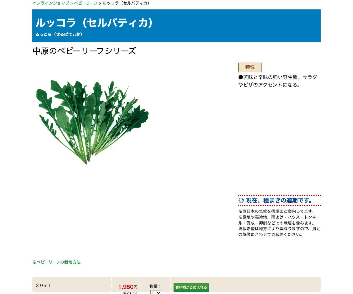 ルッコラ（セルバティカ）