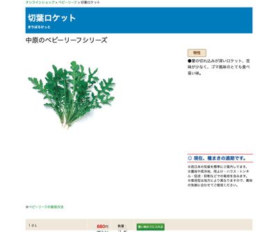 切葉ロケットの画像