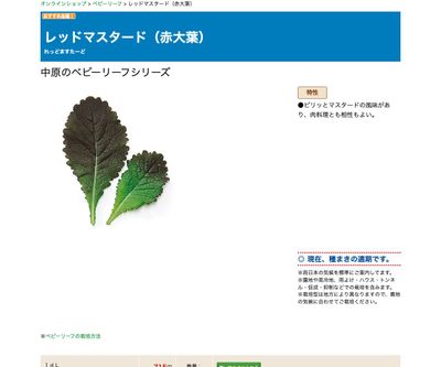 レッドマスタード（赤大葉）の画像