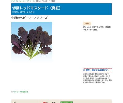 切葉レッドマスタード（真紅）の画像