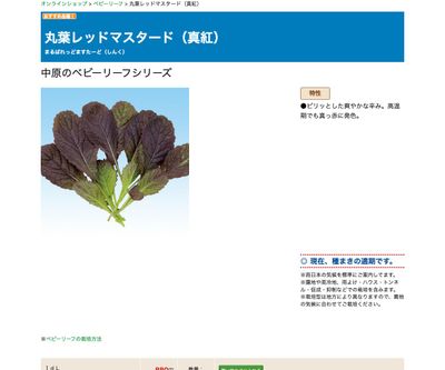 丸葉レッドマスタード（真紅）の画像