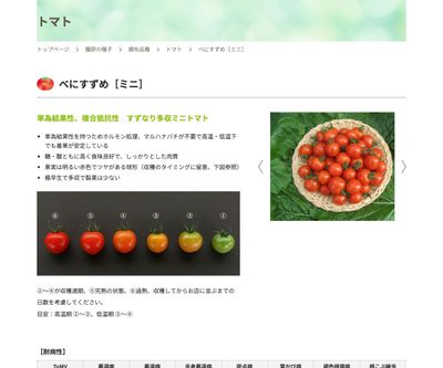 べにすずめの画像