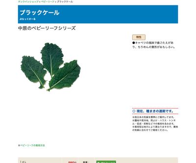 ブラックケールの画像