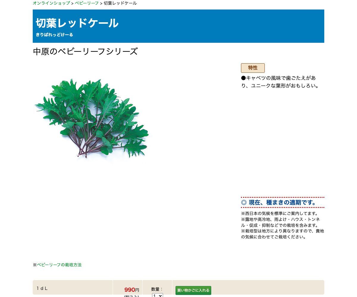 切葉レッドケール