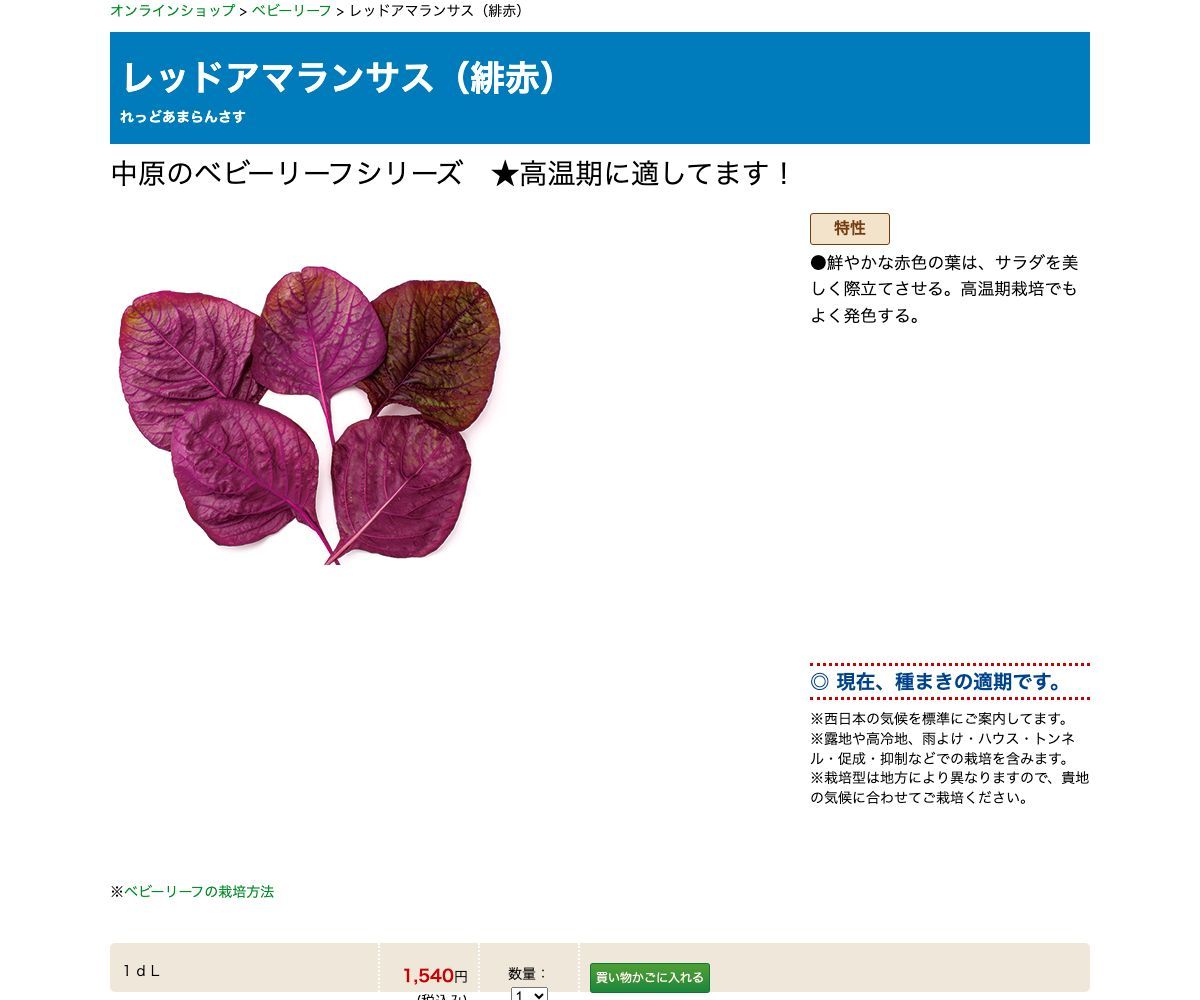 レッドアマランサス（緋赤）