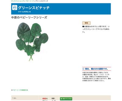 グリーンスピナッチの画像