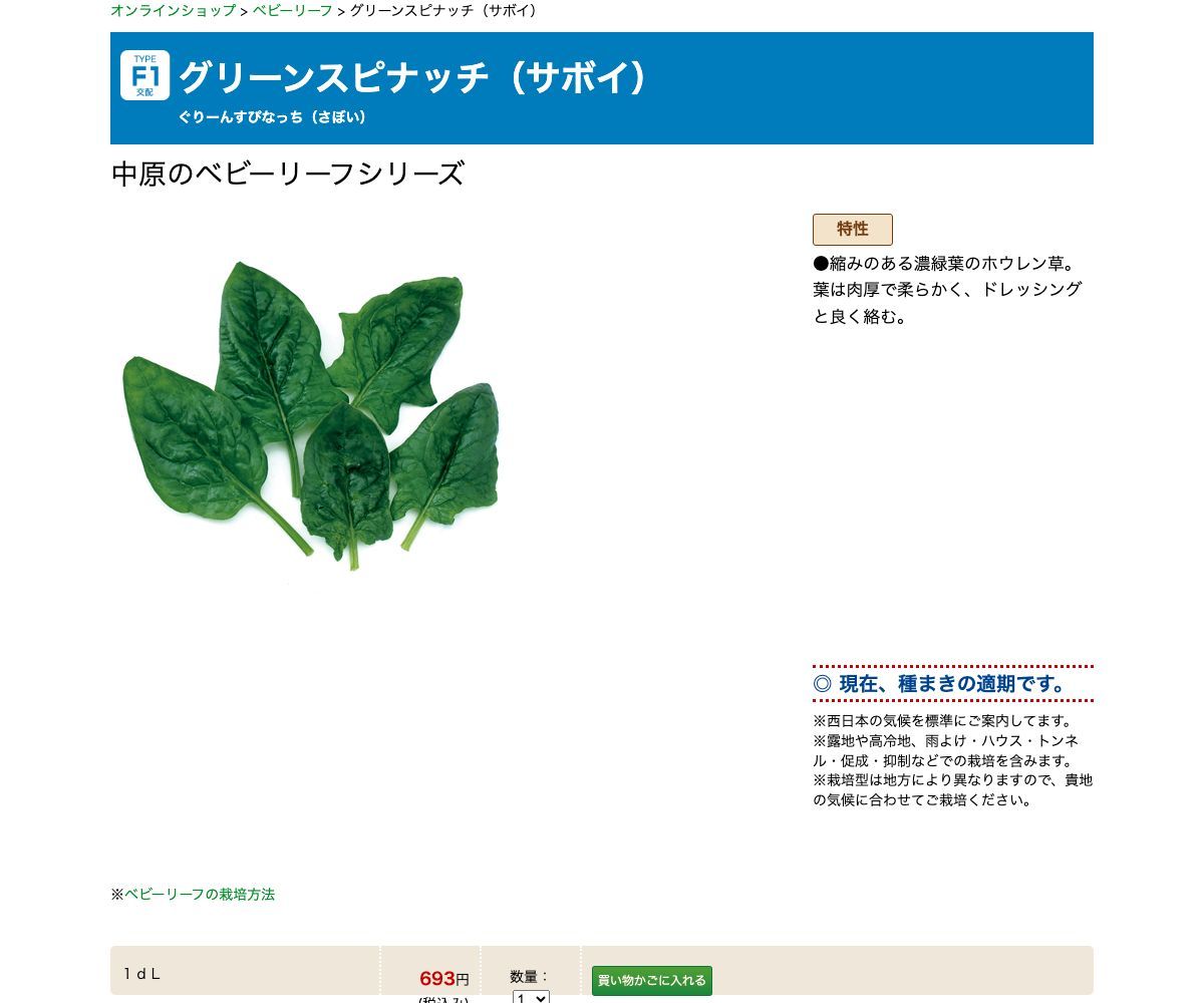 グリーンスピナッチ（サボイ）