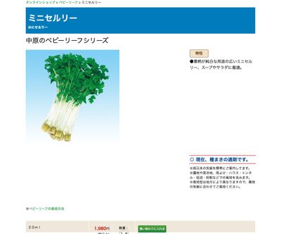 ミニセルリーの画像